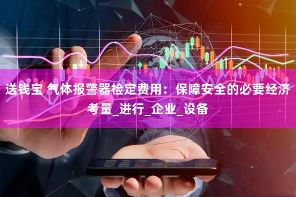 送钱宝 气体报警器检定费用：保障安全的必要经济考量_进行_企业_设备