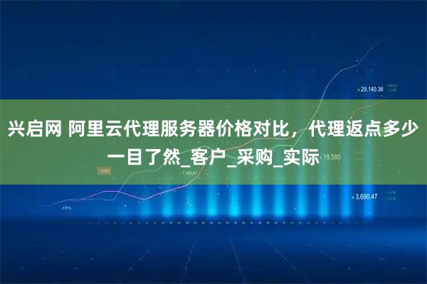 兴启网 阿里云代理服务器价格对比，代理返点多少一目了然_客户_采购_实际