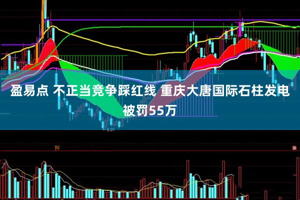 盈易点 不正当竞争踩红线 重庆大唐国际石柱发电被罚55万