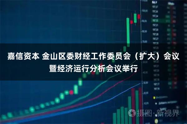 嘉信资本 金山区委财经工作委员会（扩大）会议暨经济运行分析会议举行